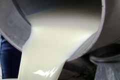 Milk